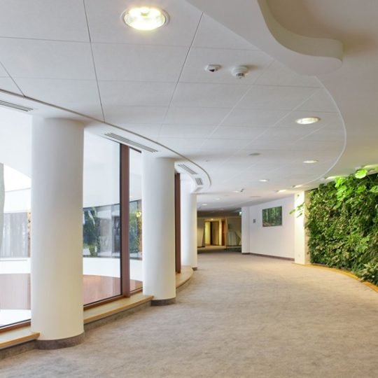 Hotel-Narvi208466 (1)